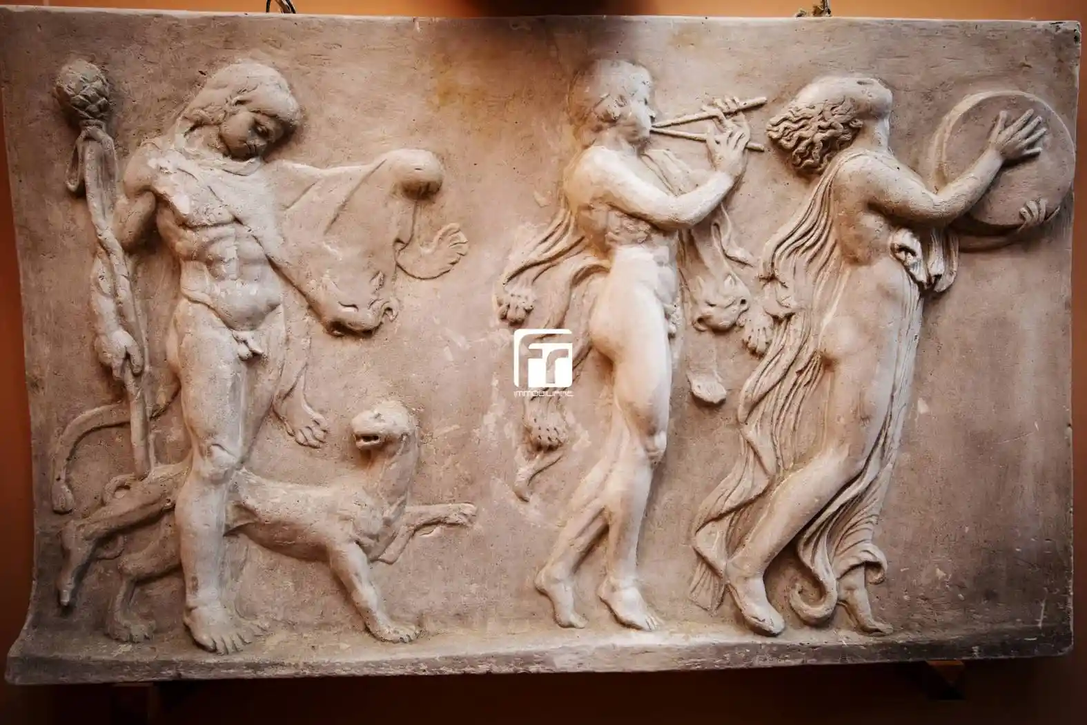 Palazzo - Edificio - foto 5