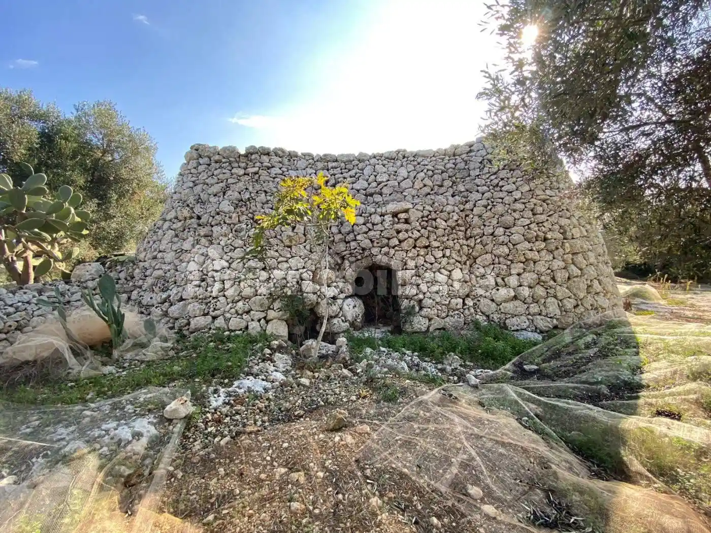 Rustico - Casale in vendita a Castrignano del Capo