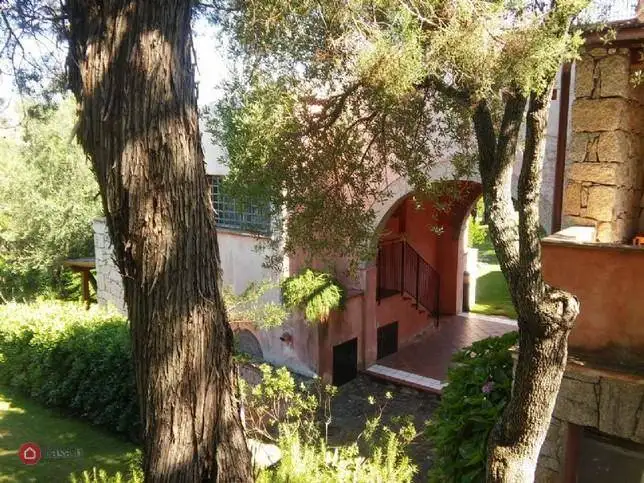 Bilocale Località Cala dei Ginepri, Baja Sardinia, Arzachena - foto 2