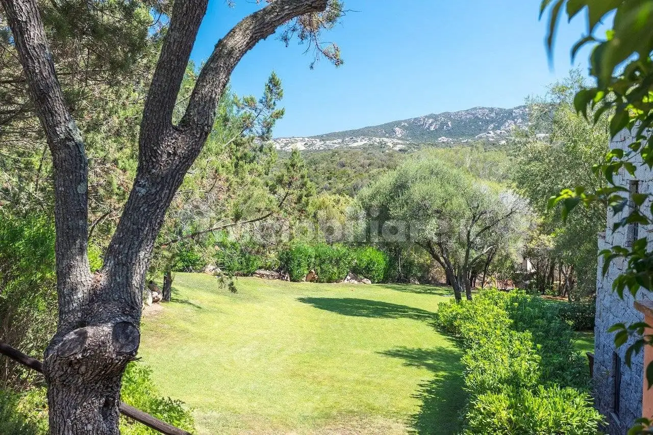 Bilocale Località Cala dei Ginepri, Baja Sardinia, Arzachena - foto 3