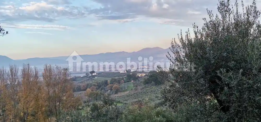 Rustico - Casale in vendita a Montefalco