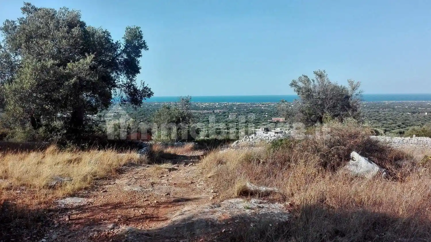 Rustico - Casale in vendita a Fasano