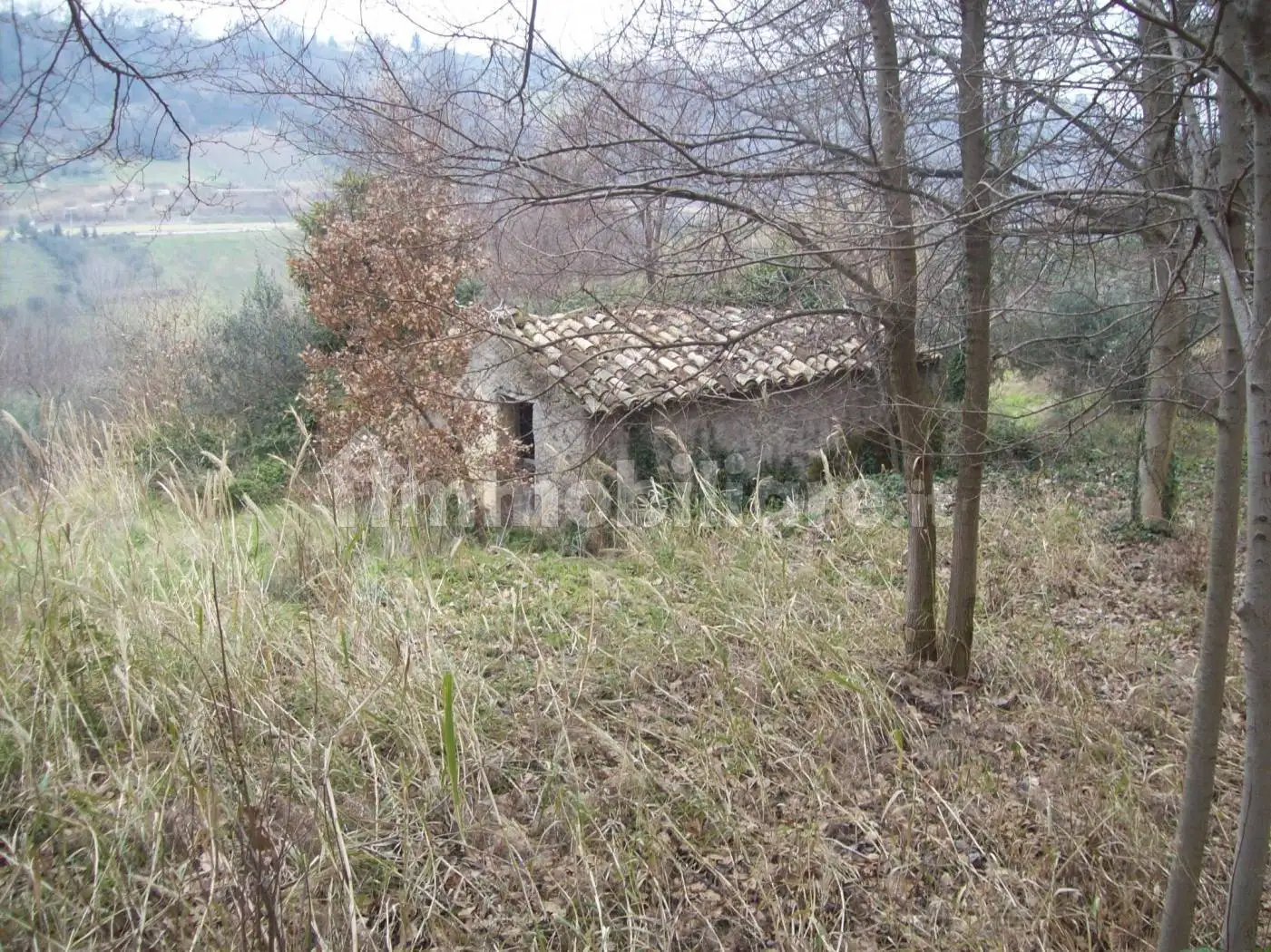 Rustico - Casale in vendita a Treglio