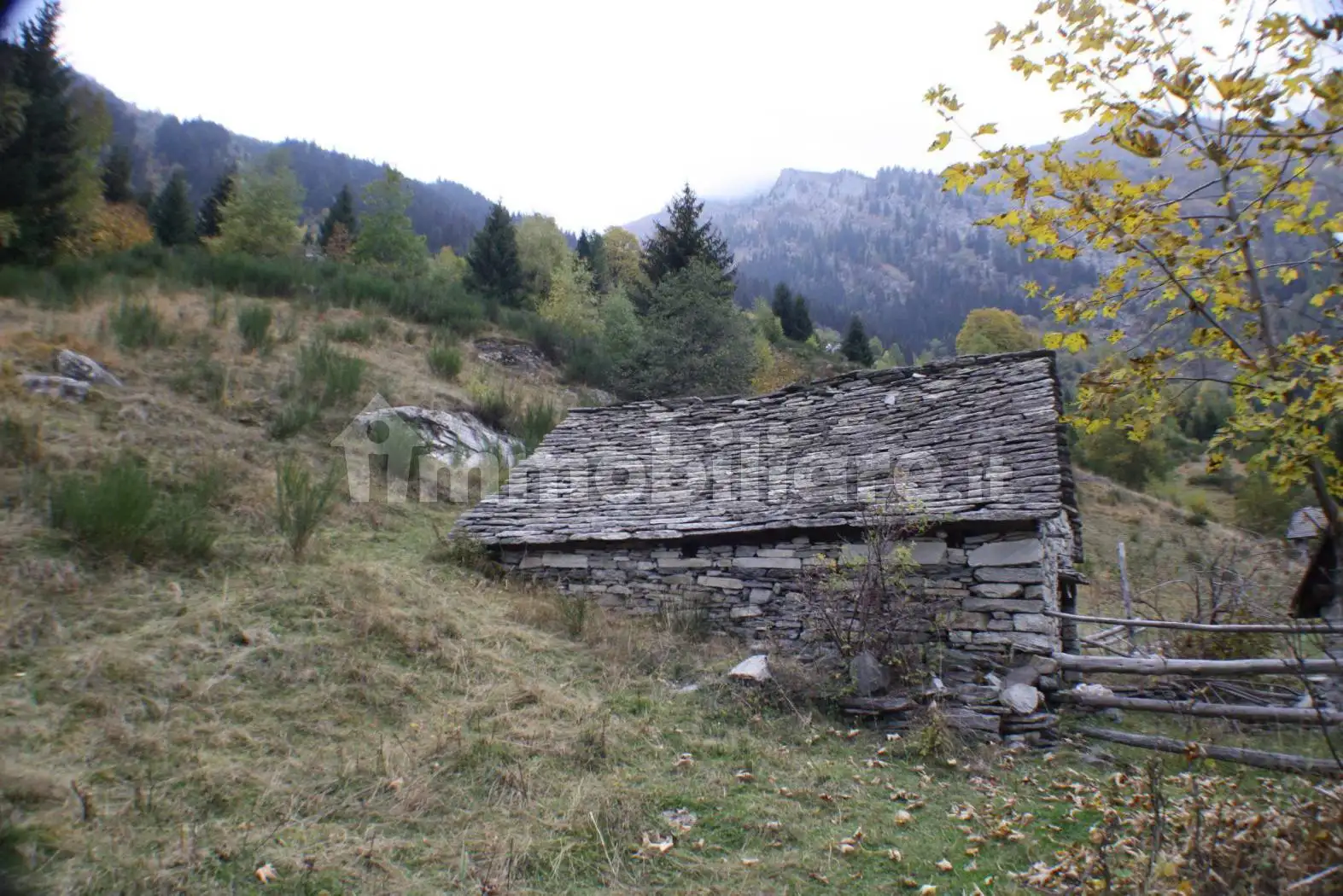 Rustico - Casale in vendita a Montecrestese