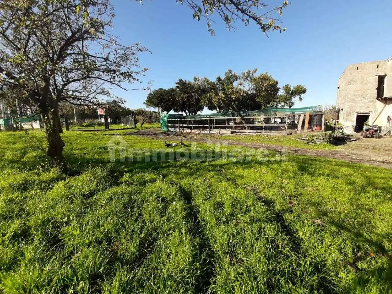 Palazzo - Edificio - foto 5