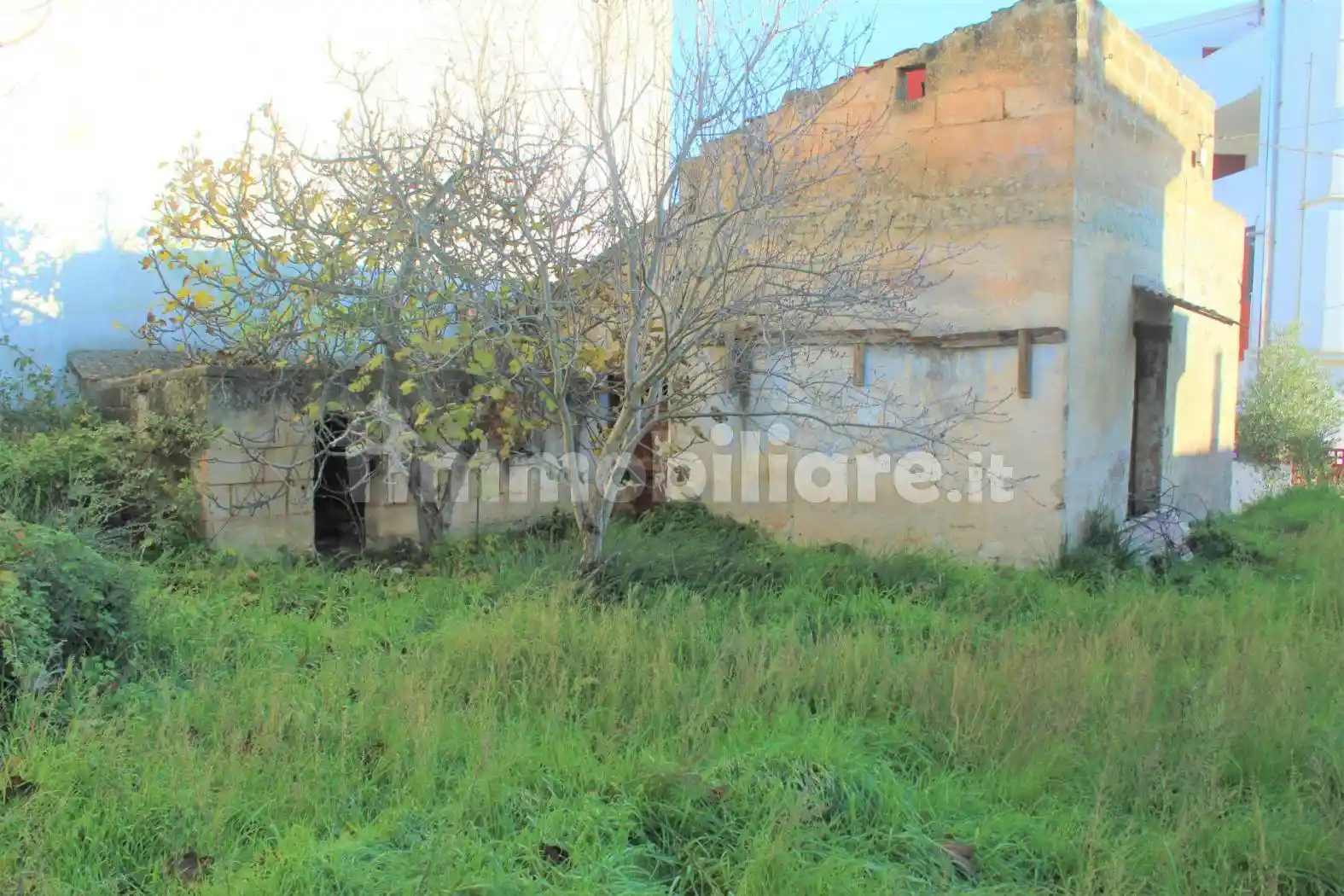 Rustico - Casale in vendita a Santeramo in Colle