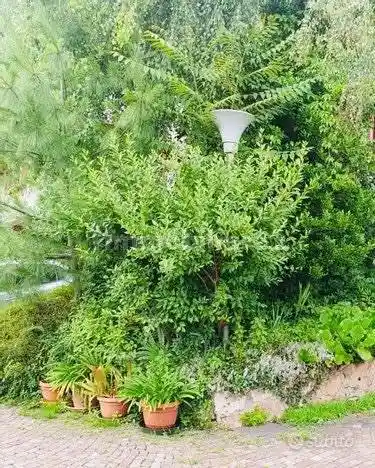 Villetta a schiera in vendita a Trento