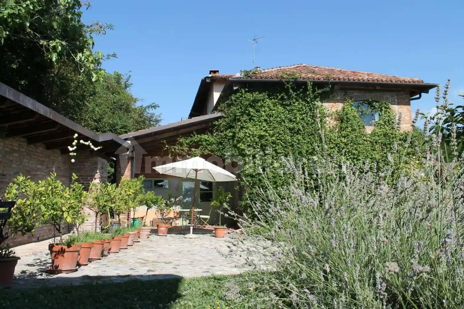 Rustico - Casale - foto 3