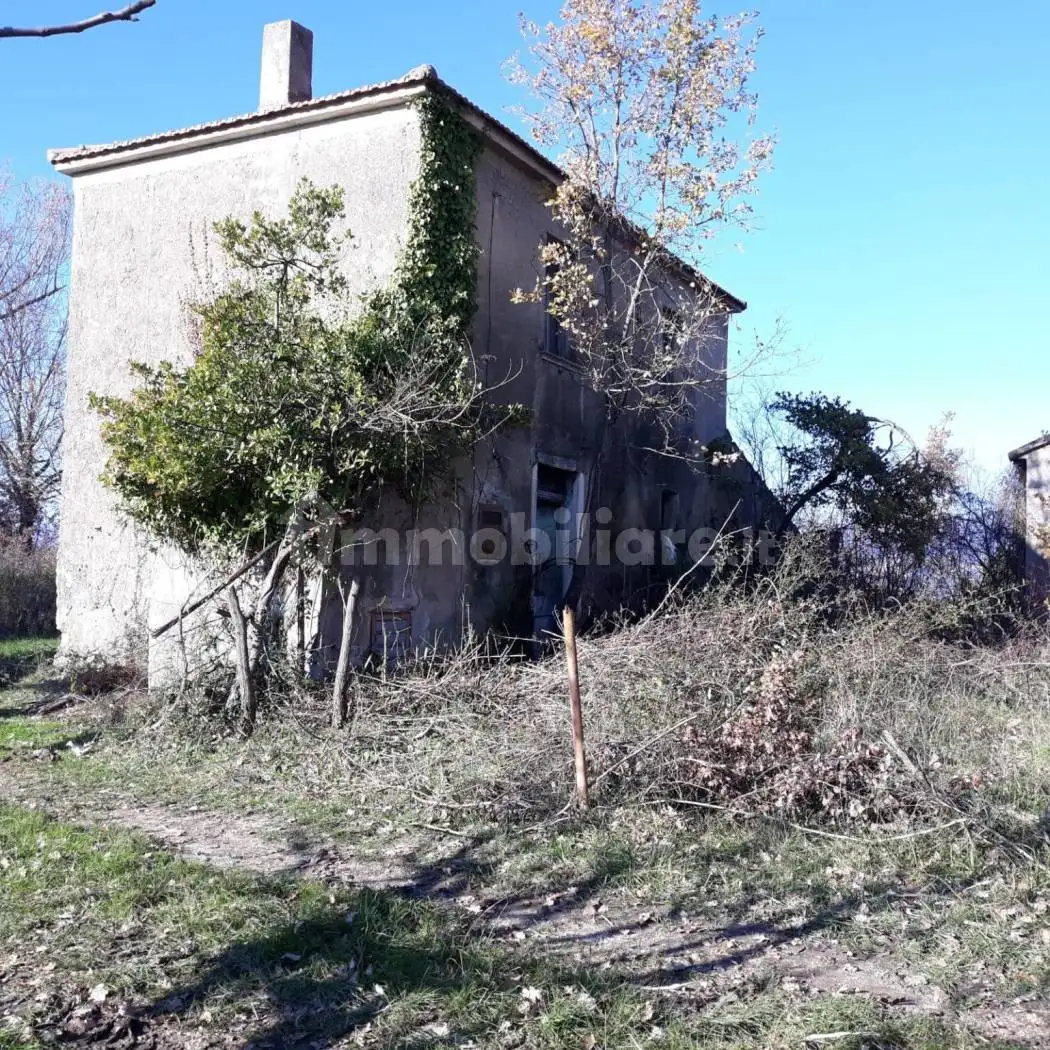 Rustico - Casale in vendita a Montesano sulla Marcellana