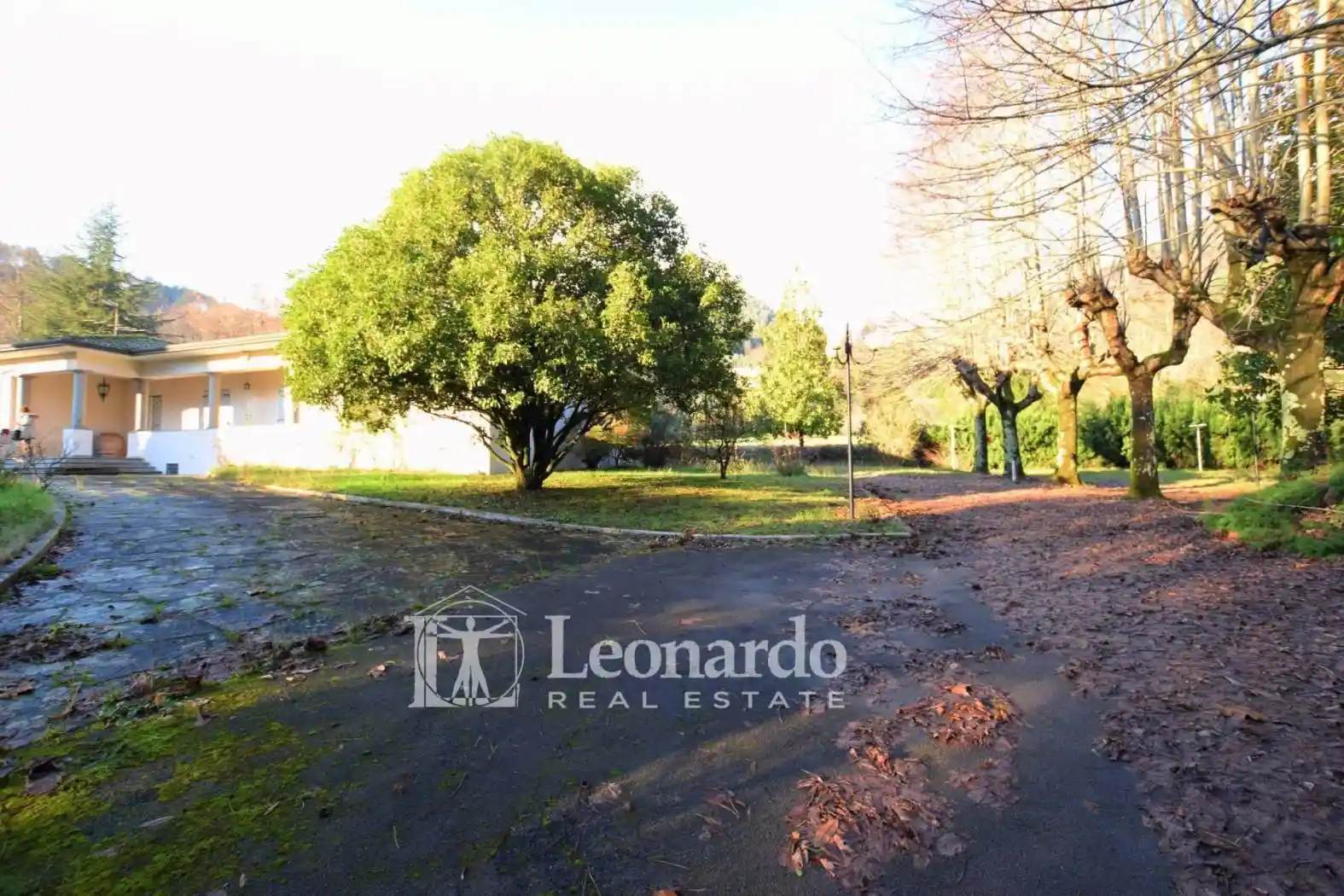 Villa in vendita a Camaiore