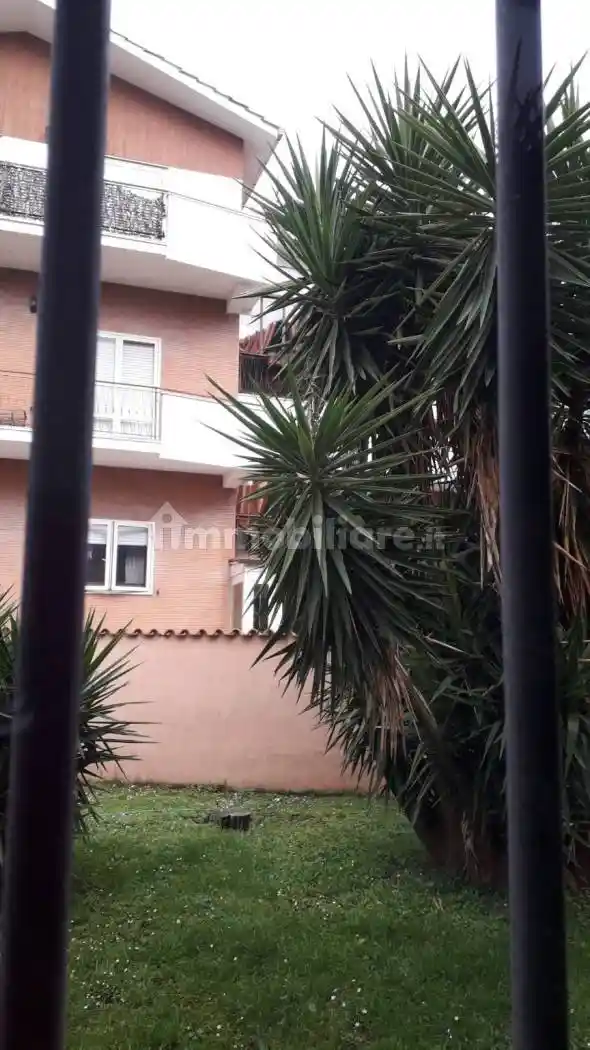 Appartamento in affitto a Grottaferrata