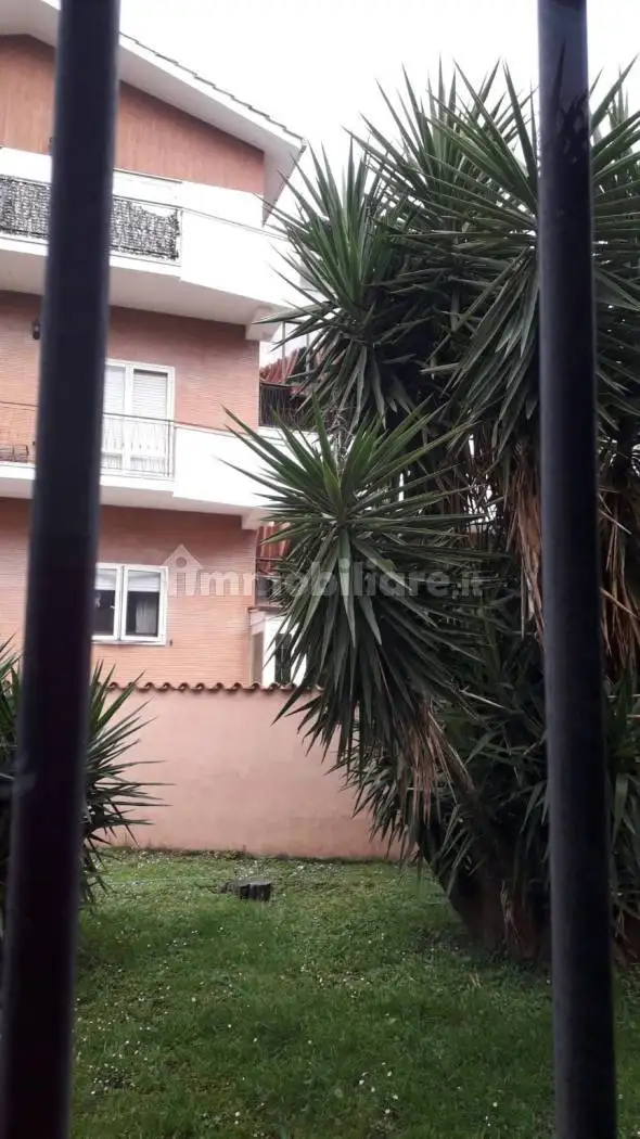 Appartamento in affitto a Grottaferrata