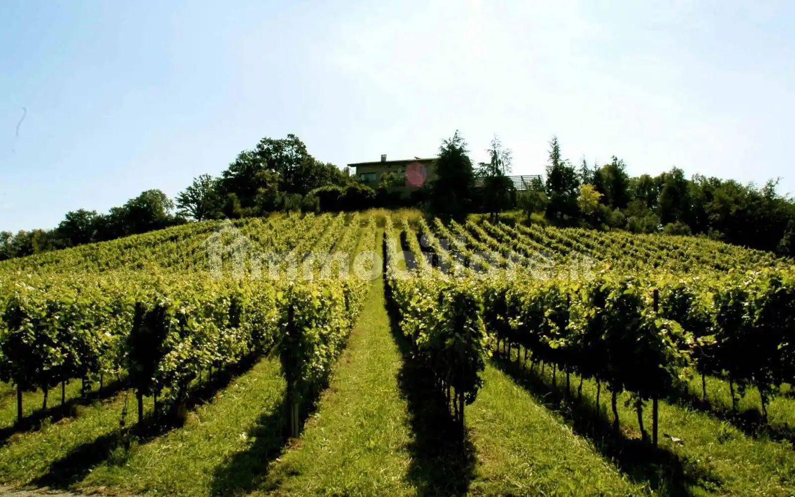 Rustico - Casale in vendita a Asolo