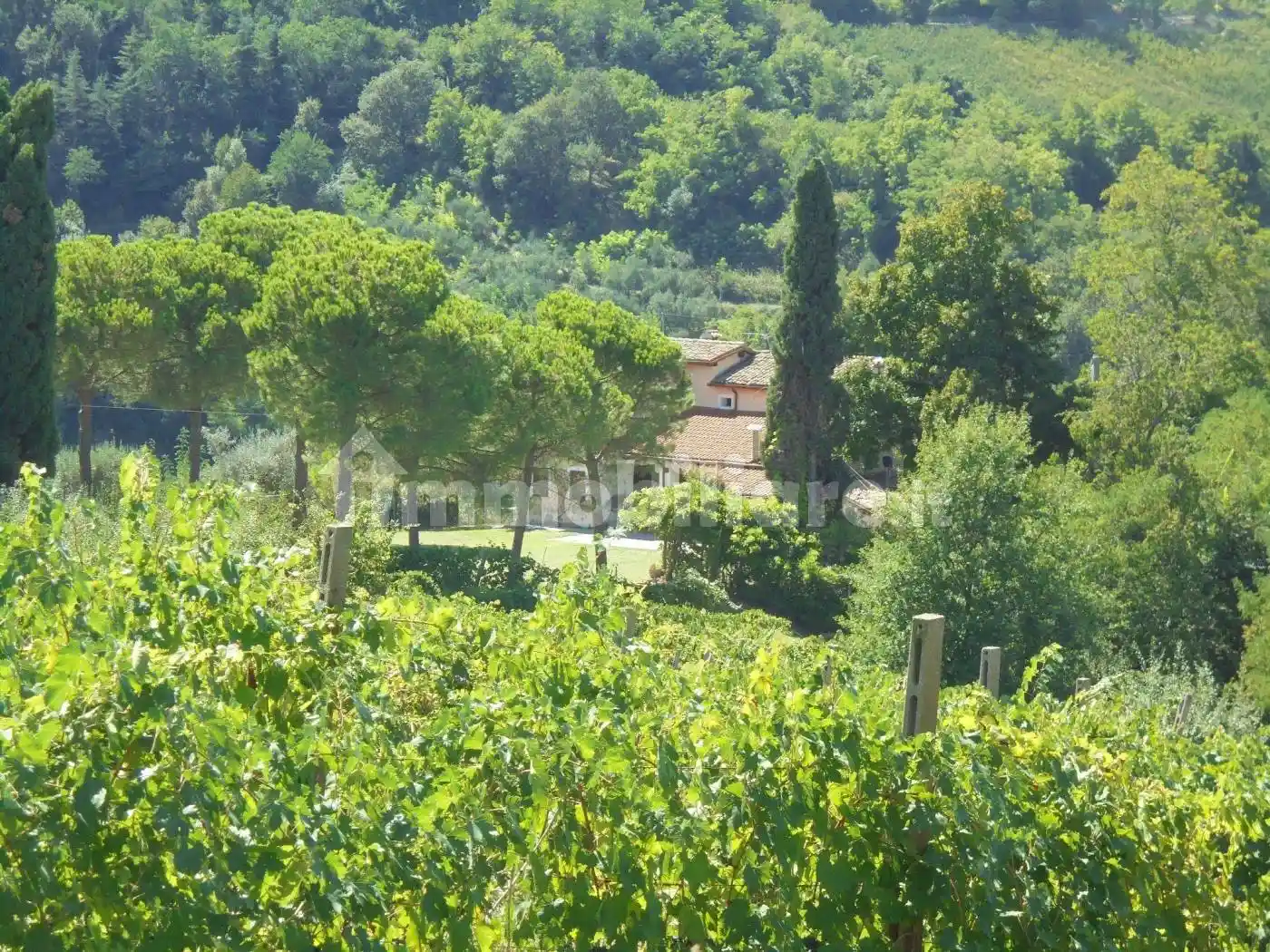 Casa indipendente in vendita a Cesena