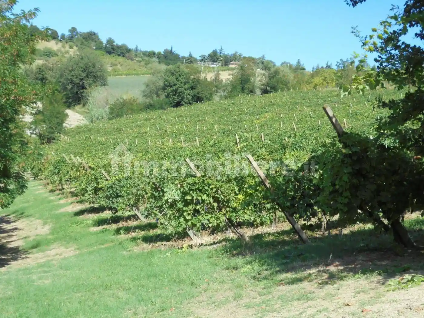 Terratetto unifamiliare via Garampa 7406, Montereale, Cesena - foto 4