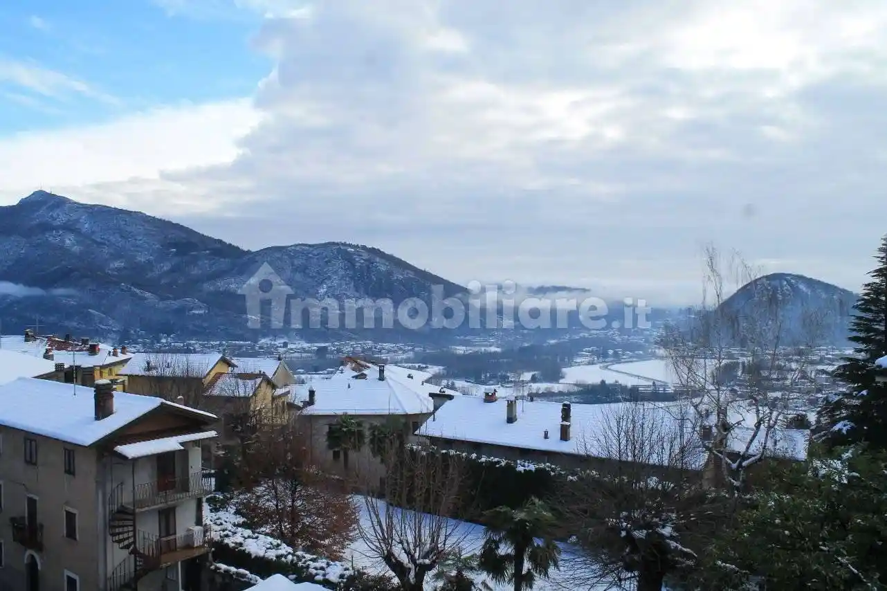 Appartamento in affitto a Bisuschio