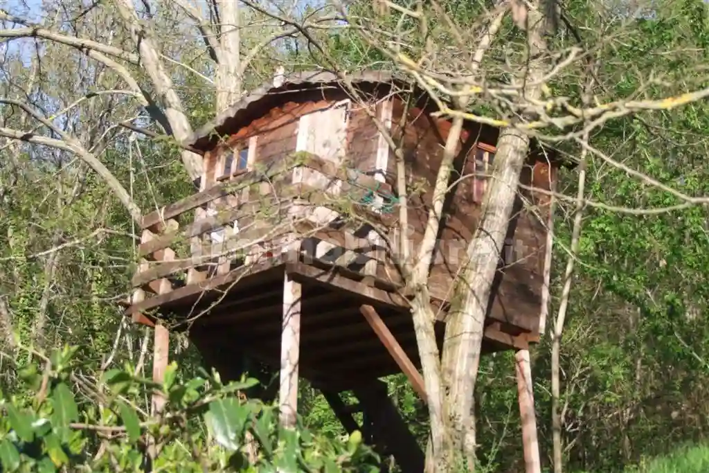 Rustico - Casale - foto 2