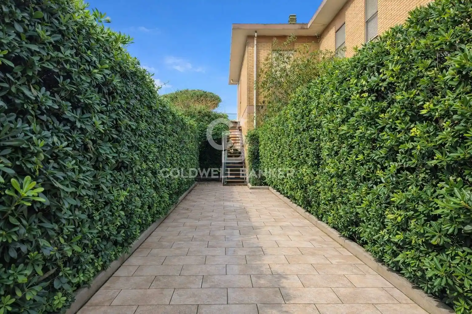 Appartamento in affitto a Tarquinia