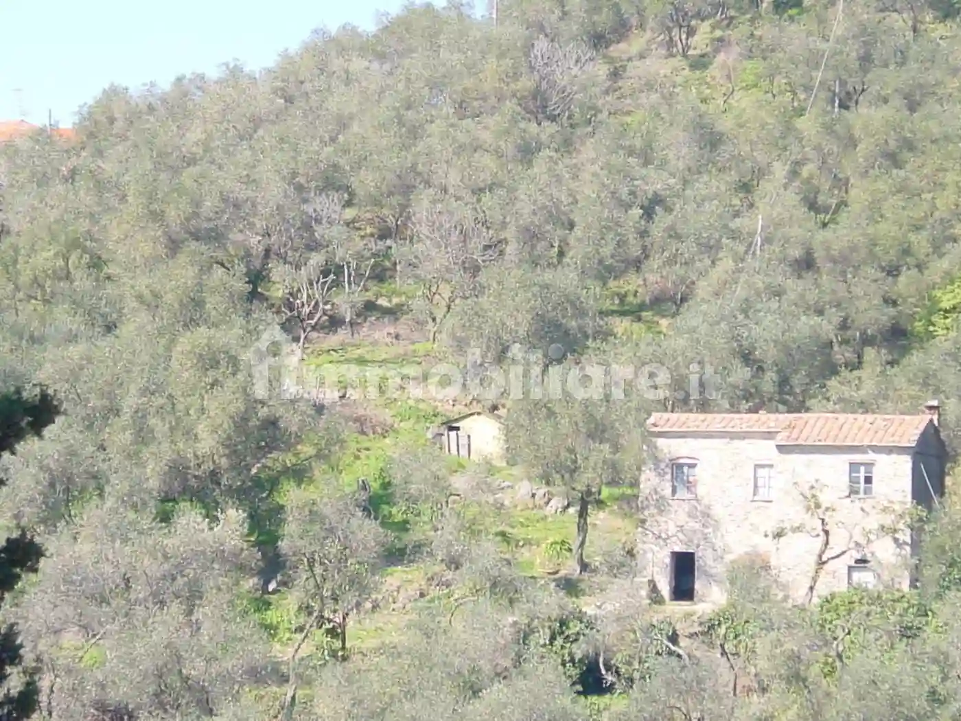 Rustico - Casale - foto 3