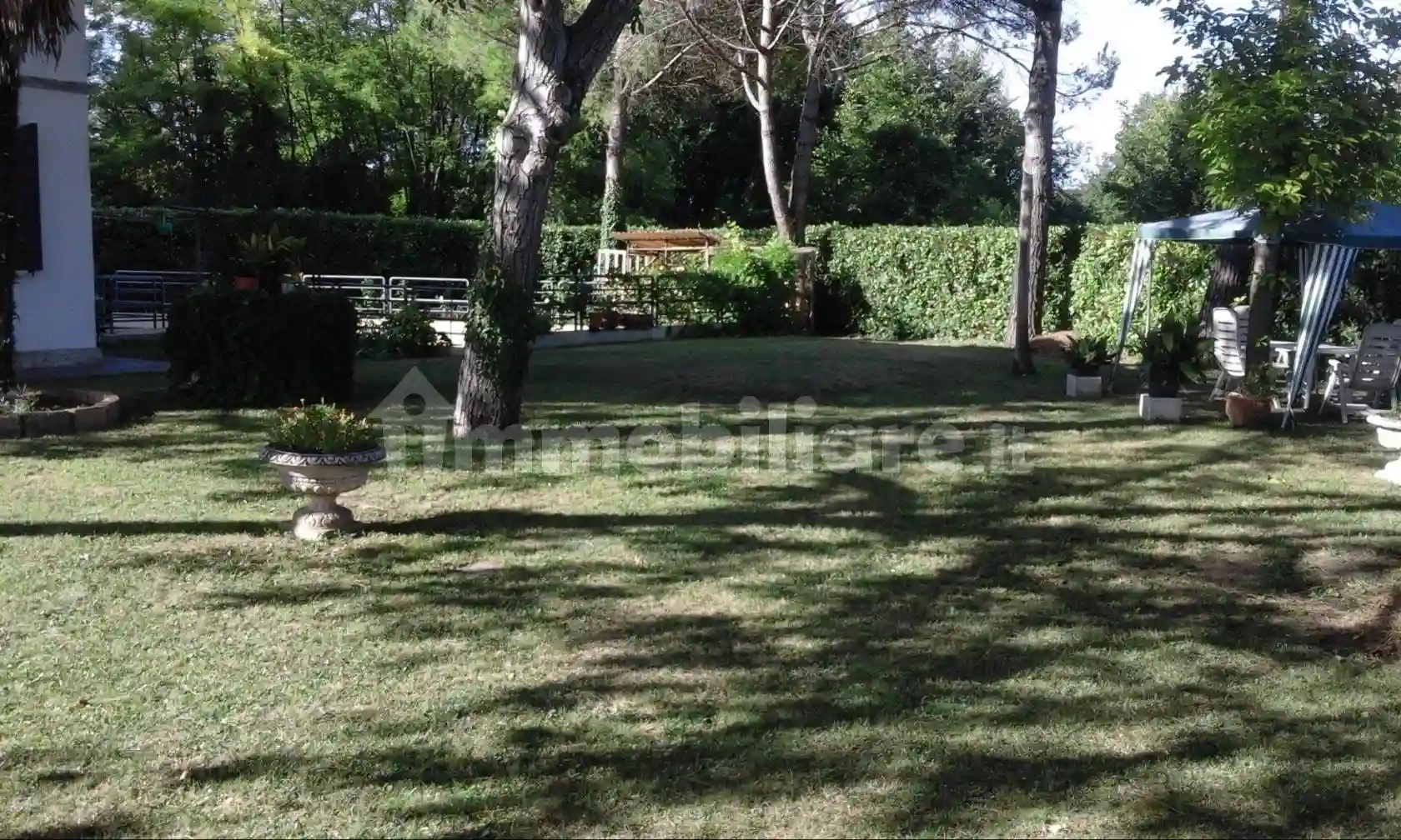 Palazzo - Edificio - foto 4