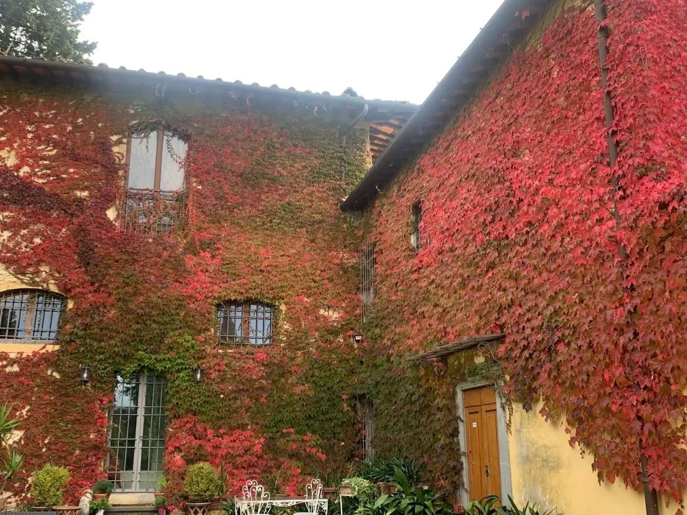 Loft in affitto a Firenze