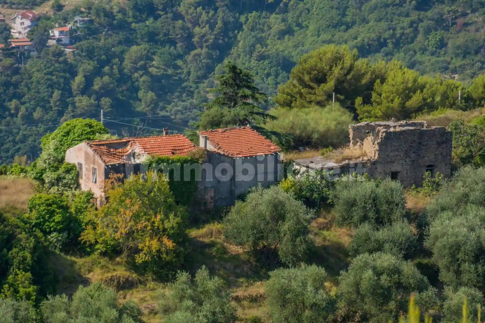 Rustico - Casale in vendita a Camporosso