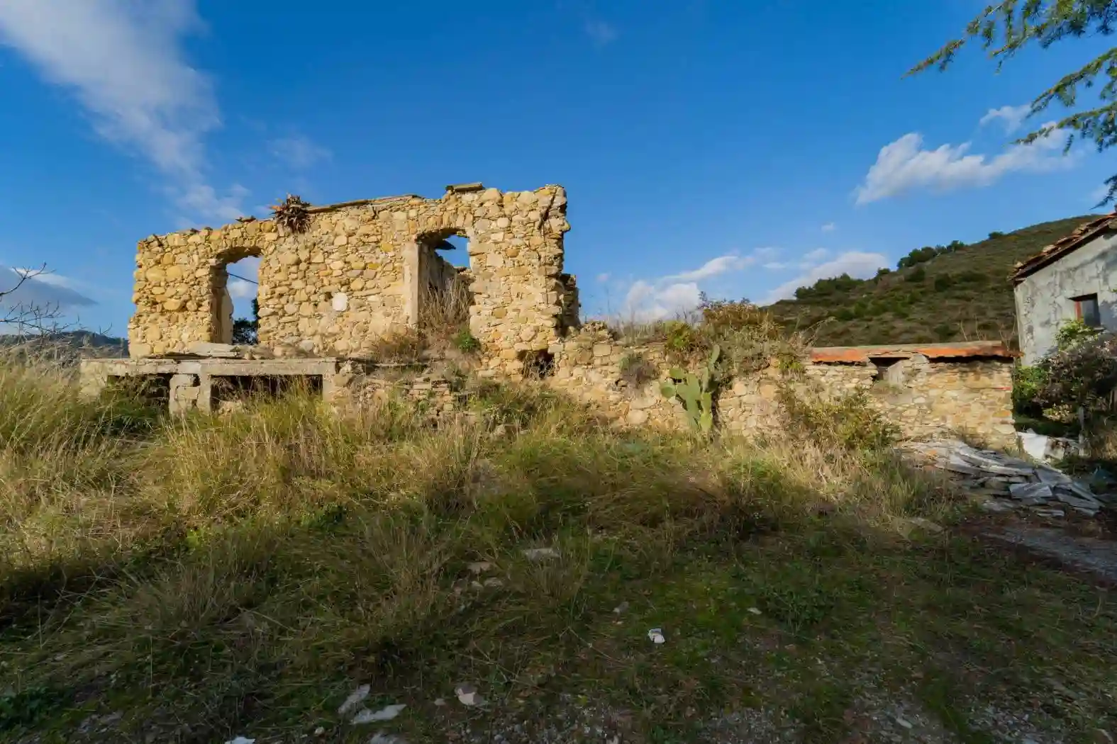 Rustico - Casale - foto 3