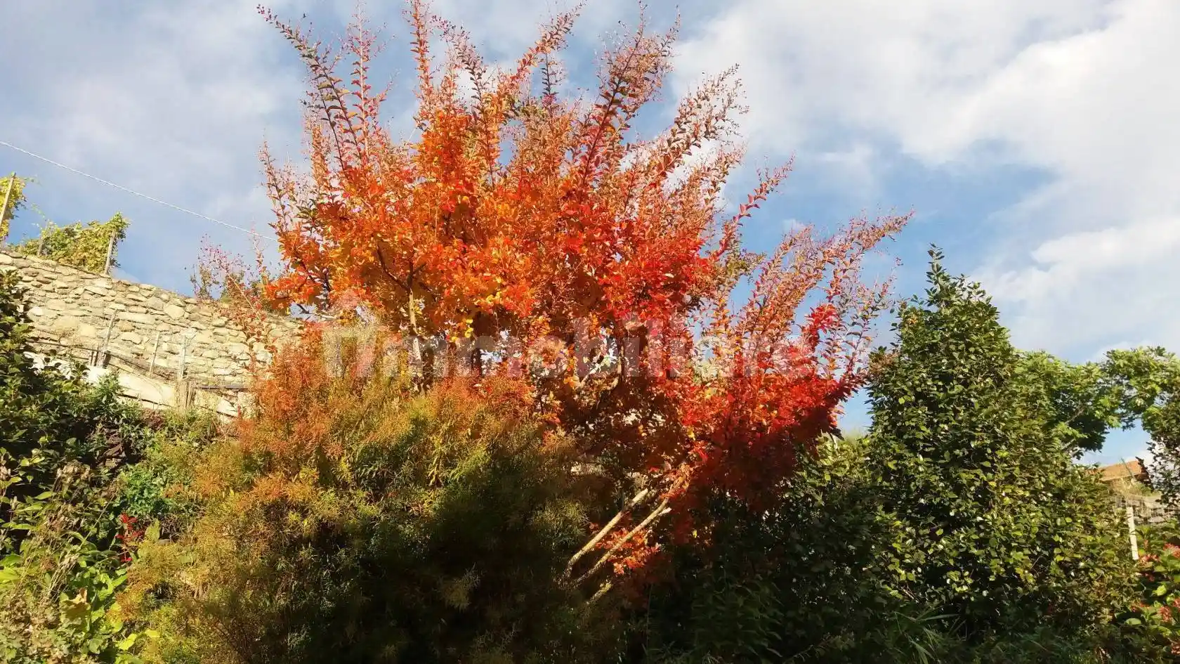 Appartamento in vendita a Sondrio