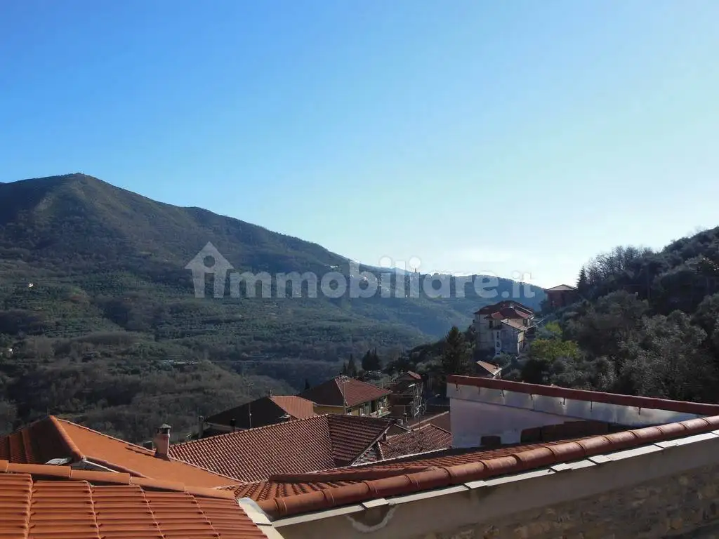 Rustico - Casale in vendita a Caravonica