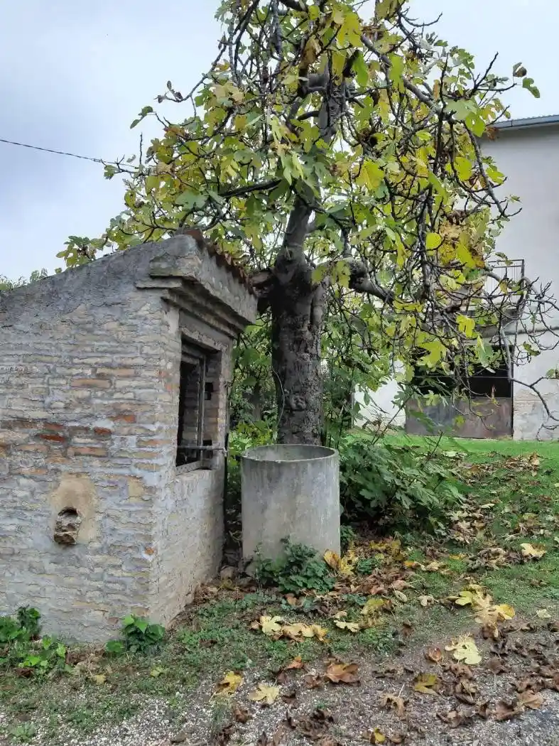 Rustico - Casale in vendita a Appignano