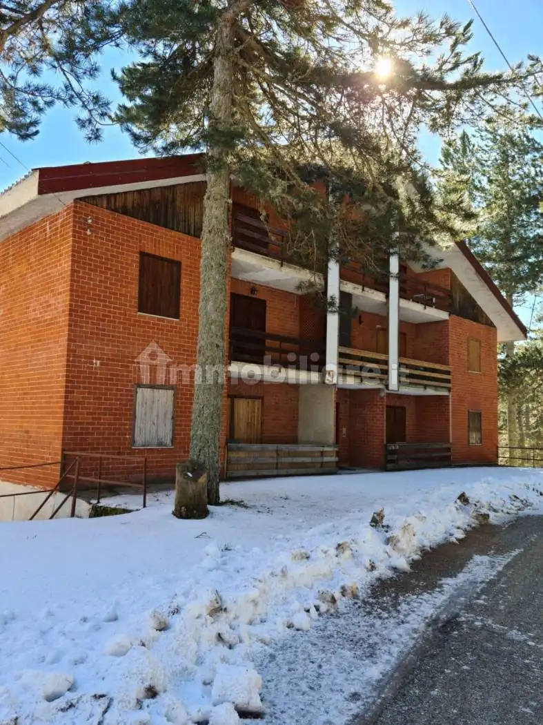 Appartamento in vendita a Celico