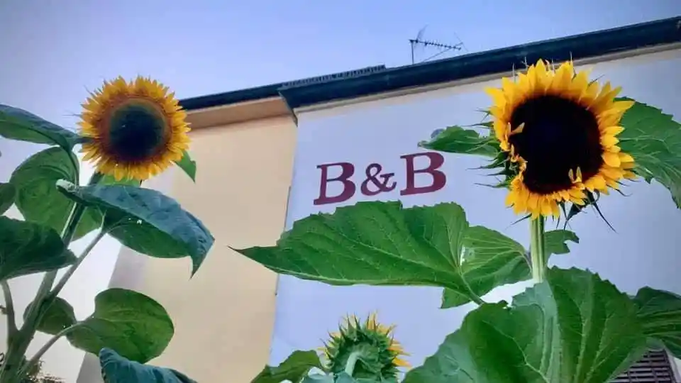 Appartamento in affitto a Goito