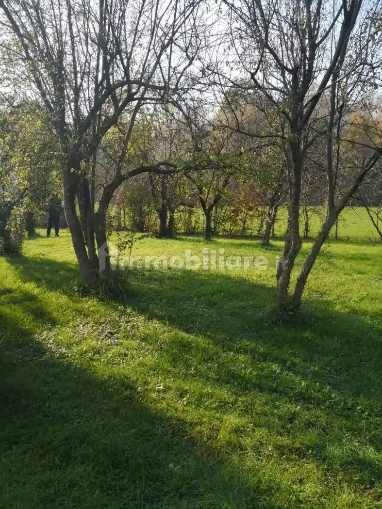 Rustico - Casale in vendita a San Zenone degli Ezzelini