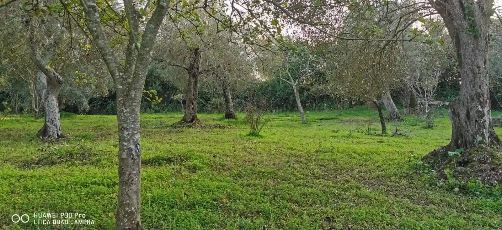Villa unifamiliare Strada Vicinale Taniga-San Giacomo Medas 99, San Camillo - Taniga, Sassari - foto 4