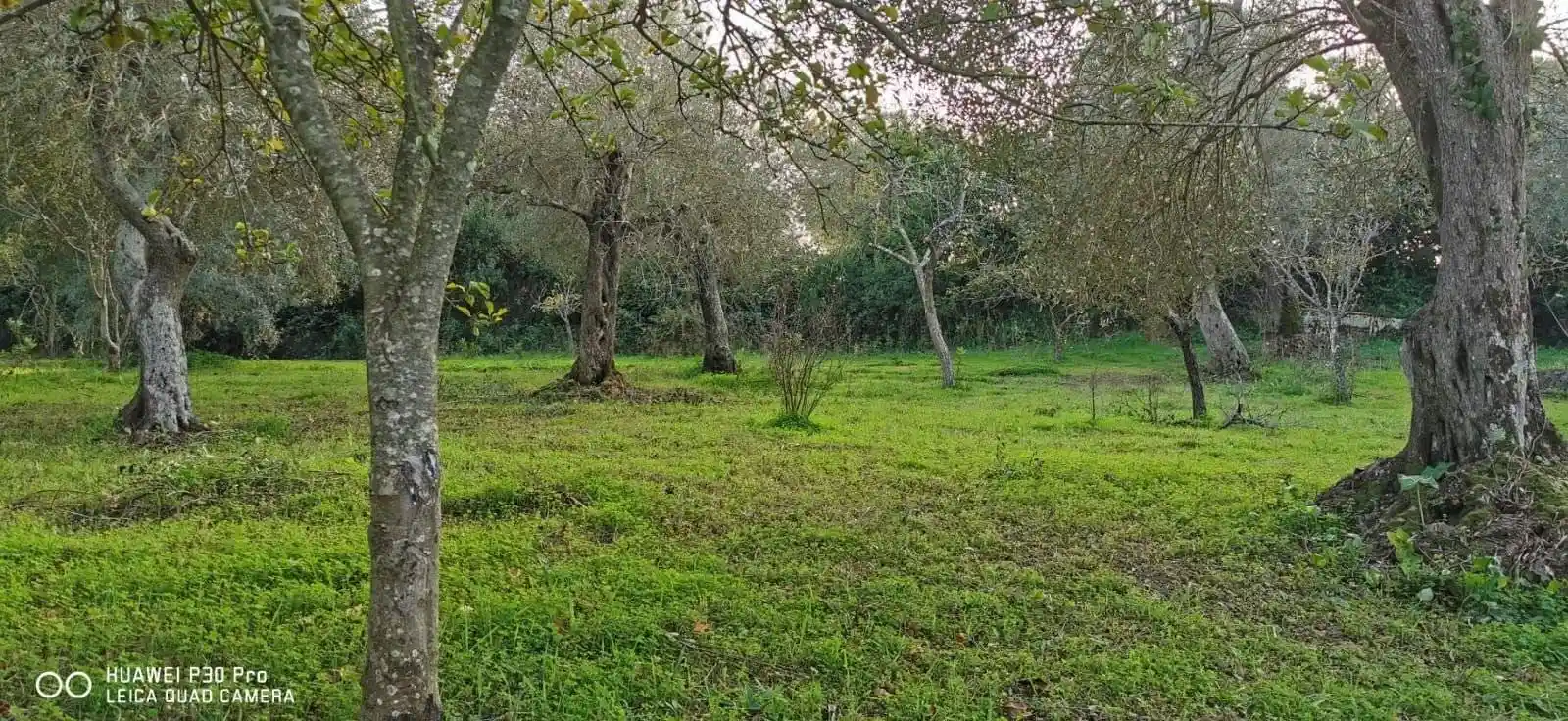 Villa unifamiliare Strada Vicinale Taniga-San Giacomo Medas 99, San Camillo - Taniga, Sassari - foto 2