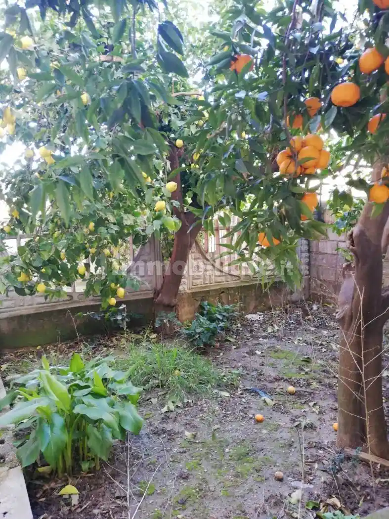 Villa a schiera via delle Ginestre 12, Zona Capo Rizzuto, Apriglianello, Papanice, Crotone - foto 3