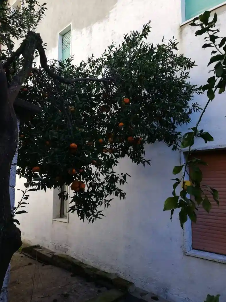 Villa a schiera via delle Ginestre 12, Zona Capo Rizzuto, Apriglianello, Papanice, Crotone - foto 4