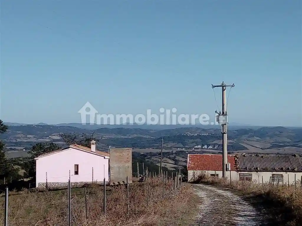 Rustico - Casale in vendita a Scansano