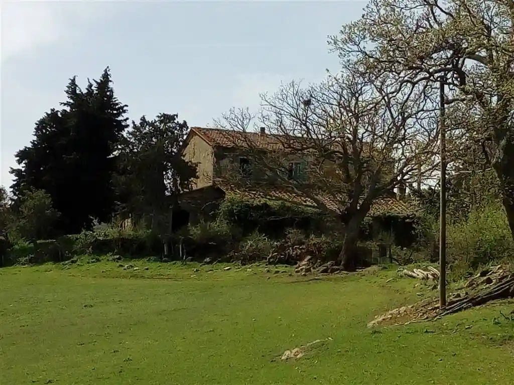 Rustico - Casale in vendita a Scansano