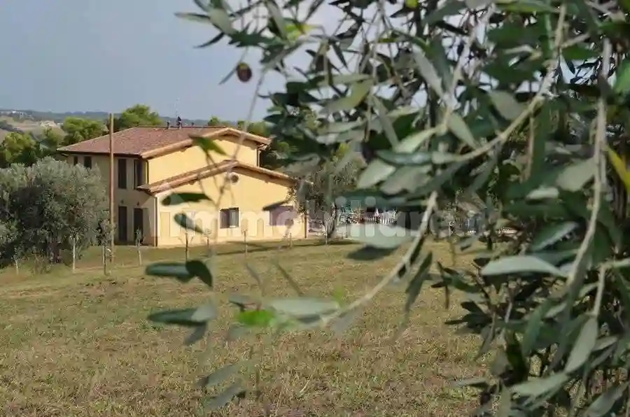 Rustico - Casale - foto 5