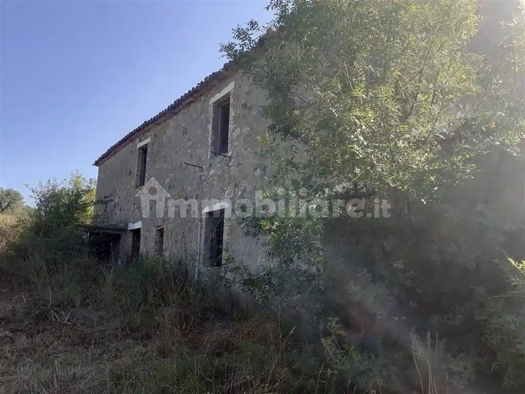 Rustico - Casale in vendita a Scansano
