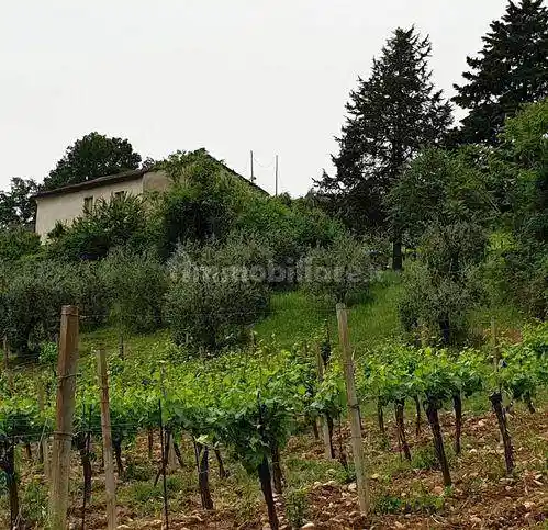 Rustico - Casale in vendita a Castel Viscardo