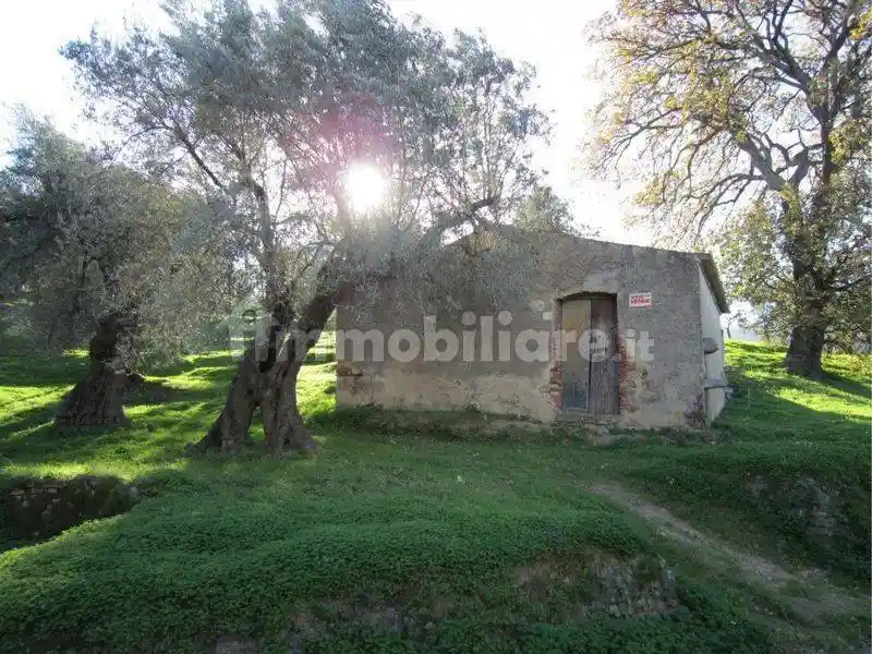 Casa indipendente in vendita a Corigliano-Rossano