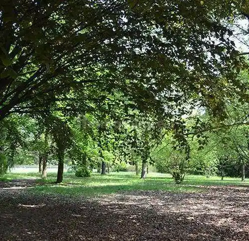 Villa in vendita a Albinea