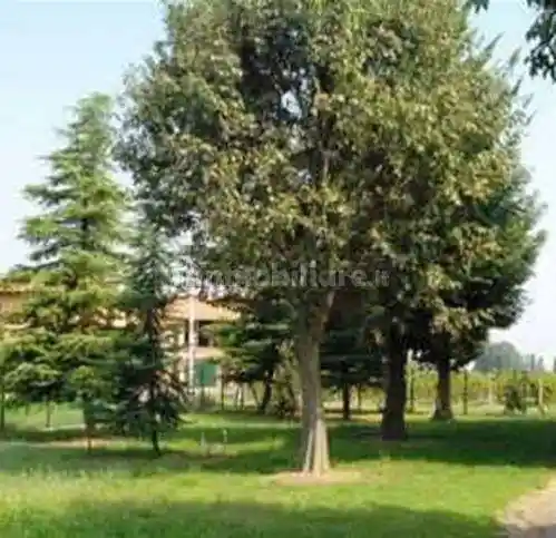 Rustico - Casale in vendita a Reggio Emilia