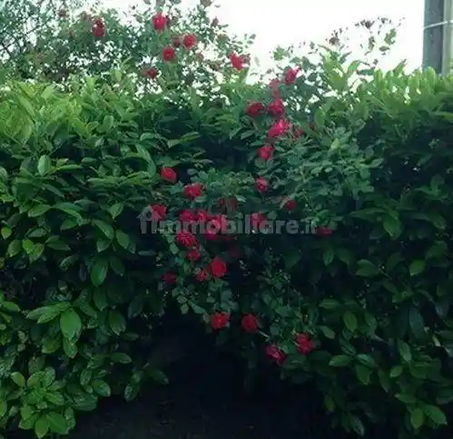 Appartamento in vendita a Reggio Emilia