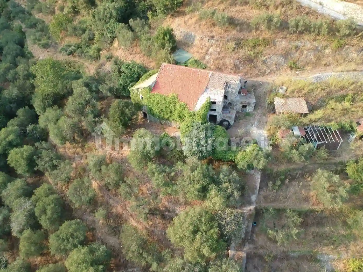 Rustico - Casale - foto 4