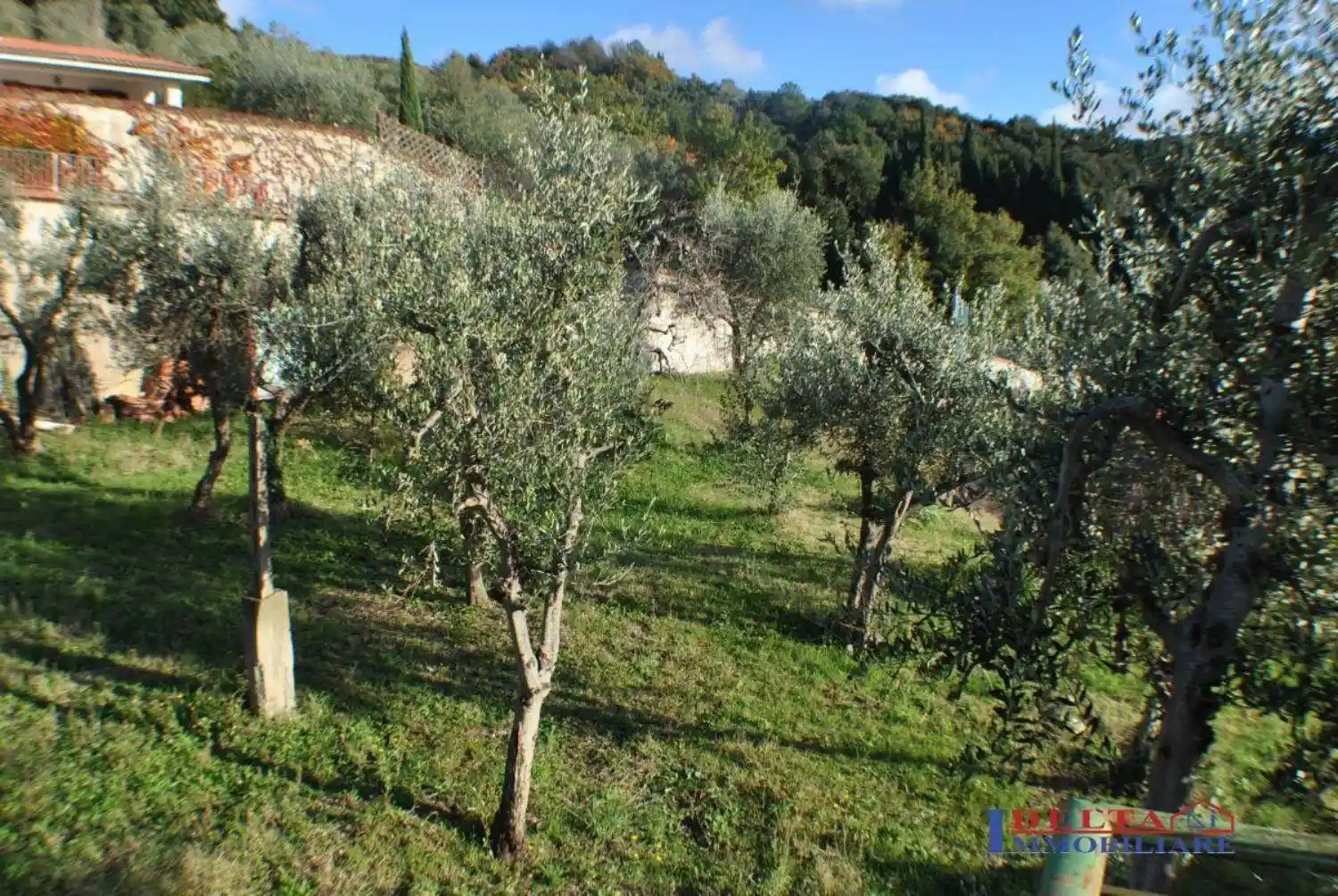 Villa in vendita a Santa Luce