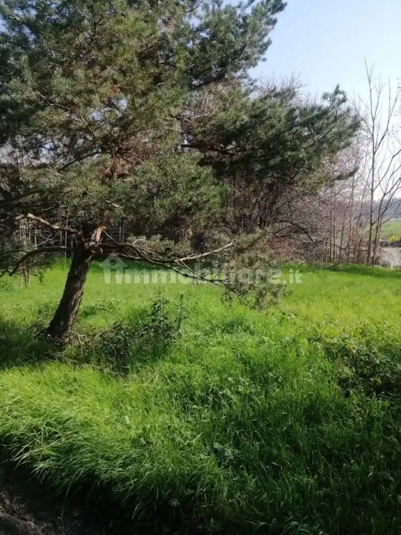 Rustico - Casale in vendita a Montechiarugolo