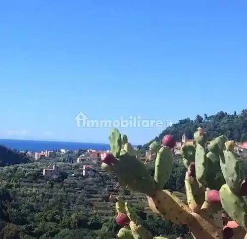 Appartamento in vendita a Arcola
